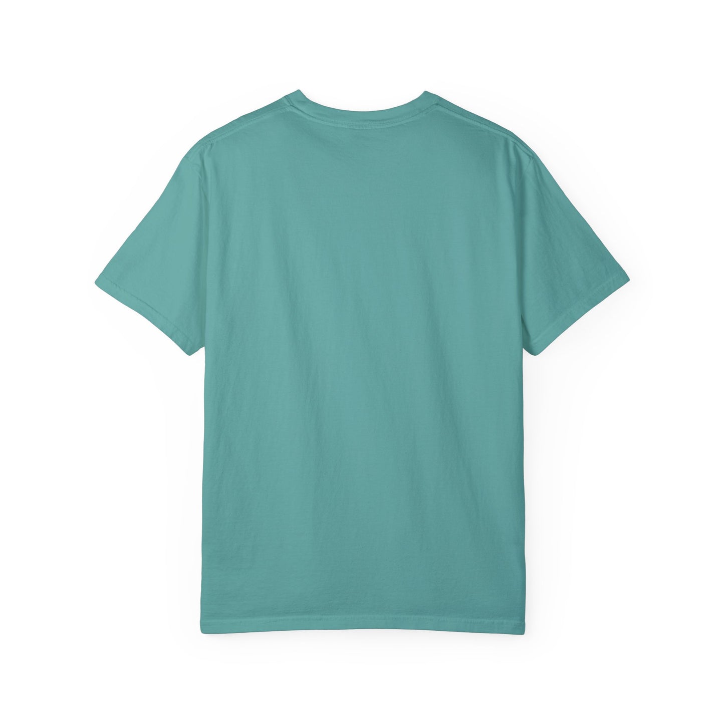 Cool Dad Snowed In Tee Seafoam T-Shirt