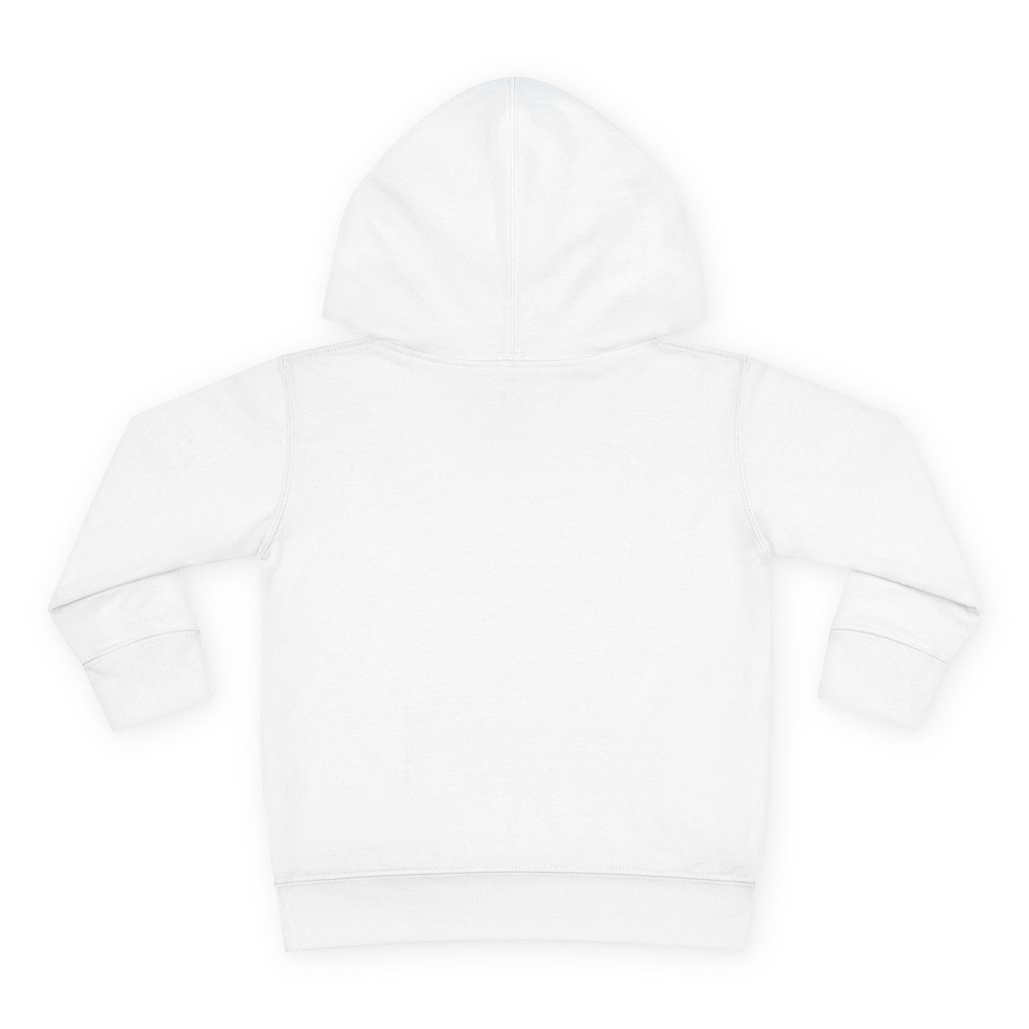 Chillin with My Fam Toddler Fleece Hoodie