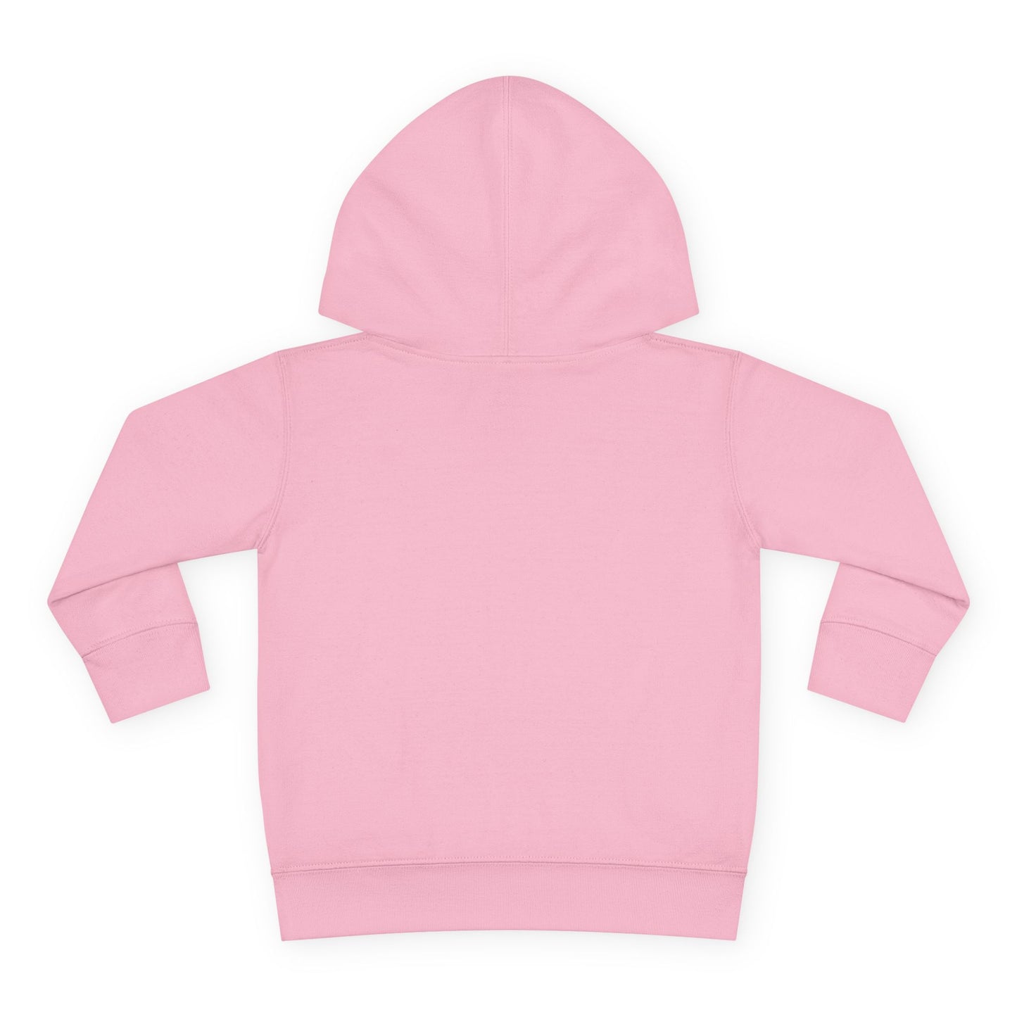 Chillin with My Fam Toddler Fleece Hoodie