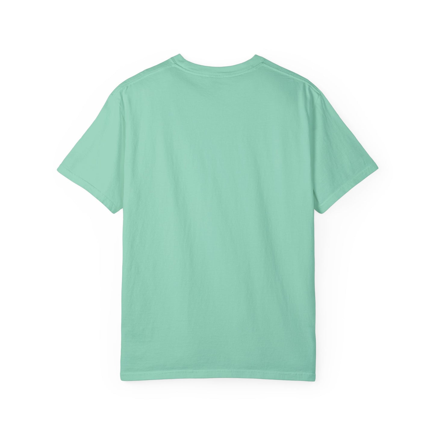 Cool Dad Snowed In Tee Chalky Mint T-Shirt