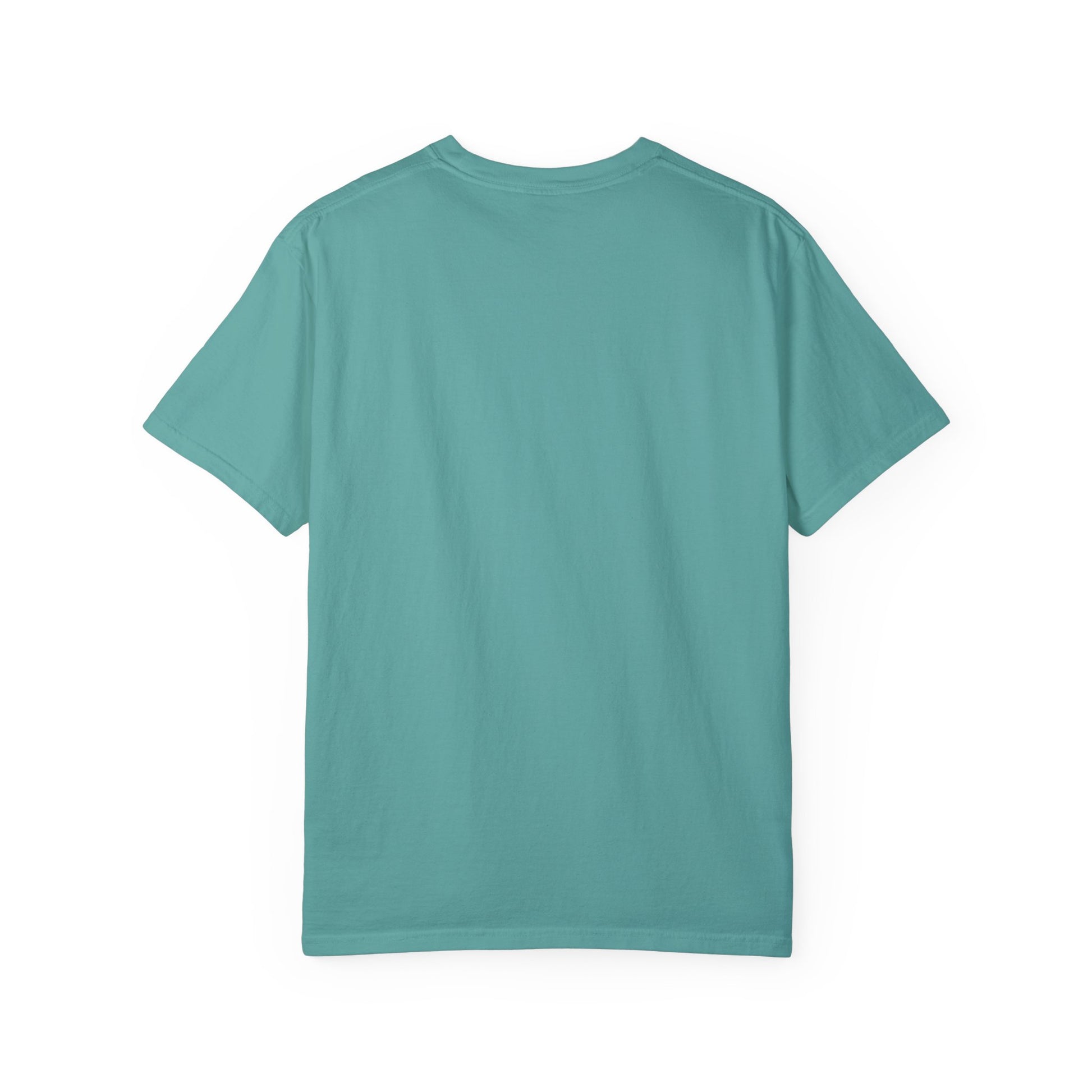 Cool Dad Snowed In Tee Seafoam T-Shirt