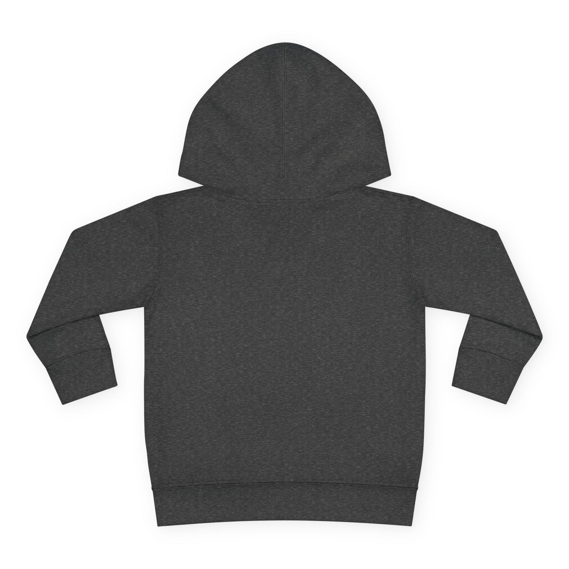 Playground Champ Toddler Fleece Hoodie Vintage Smoke Kids clothes