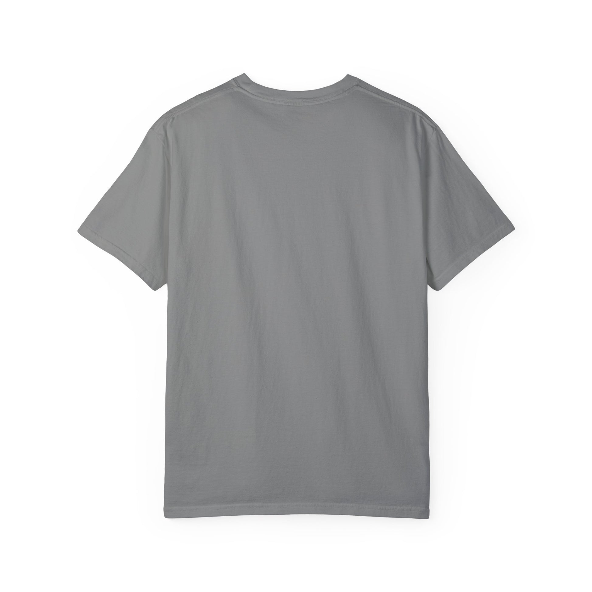Cool Dad Snowed In Tee Royal Caribe T-Shirt