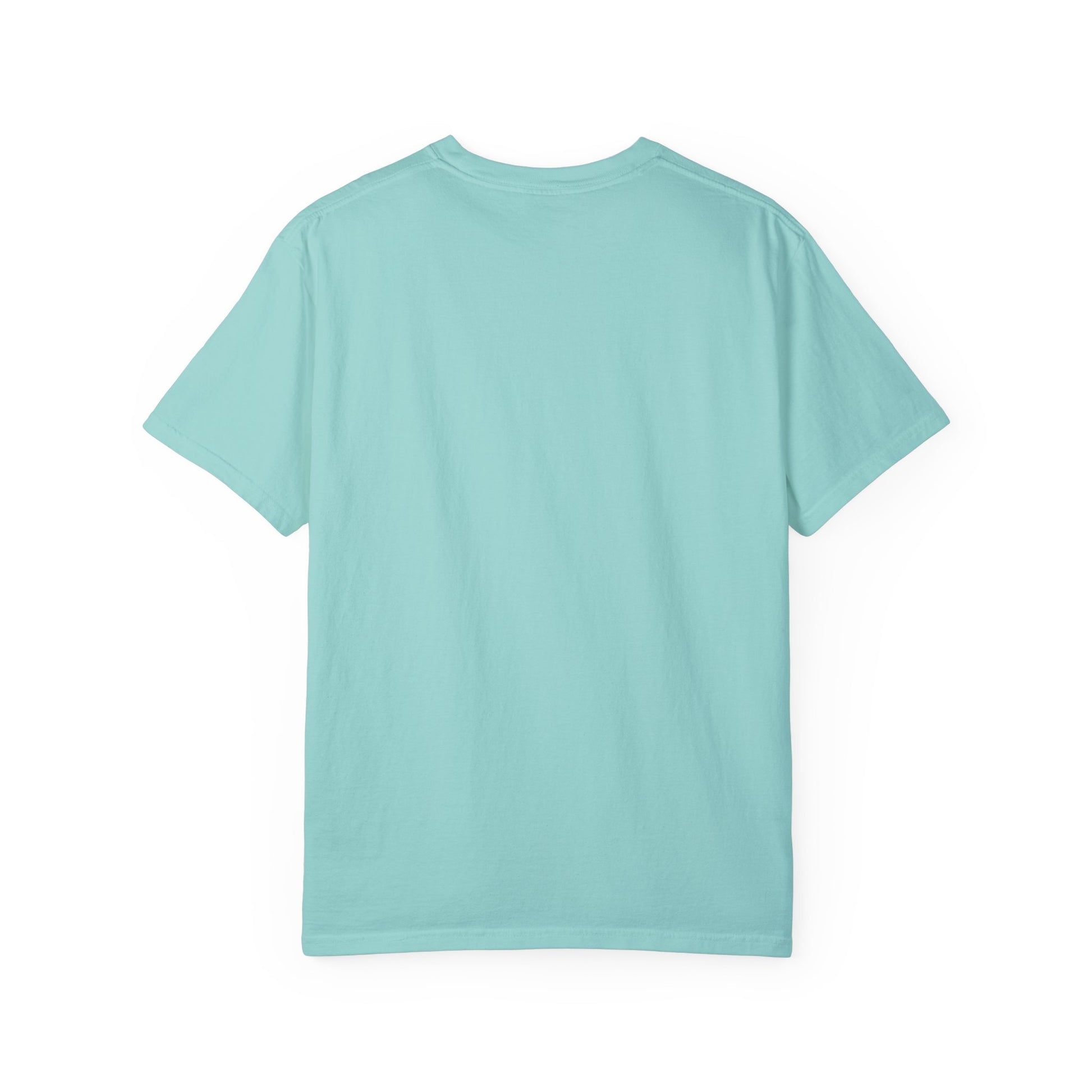 Cool Dad Snowed In Tee Seafoam T-Shirt
