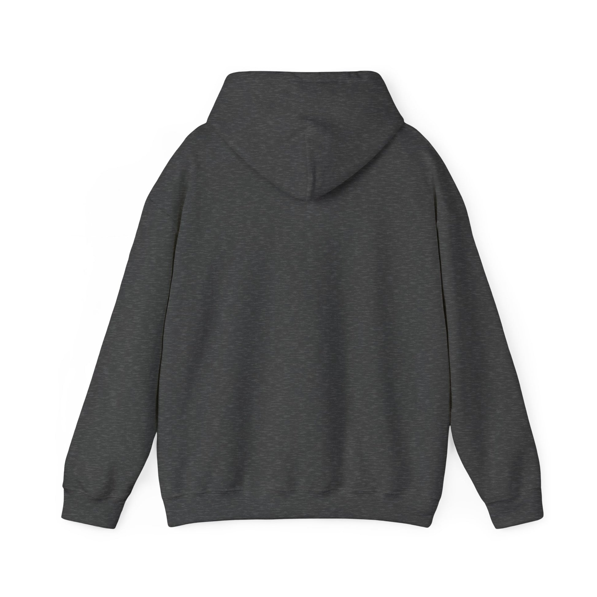 Gamer Dad's Hoodie Dark Heather Hoodie