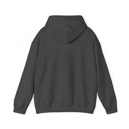 Gamer Dad's Hoodie Dark Heather Hoodie