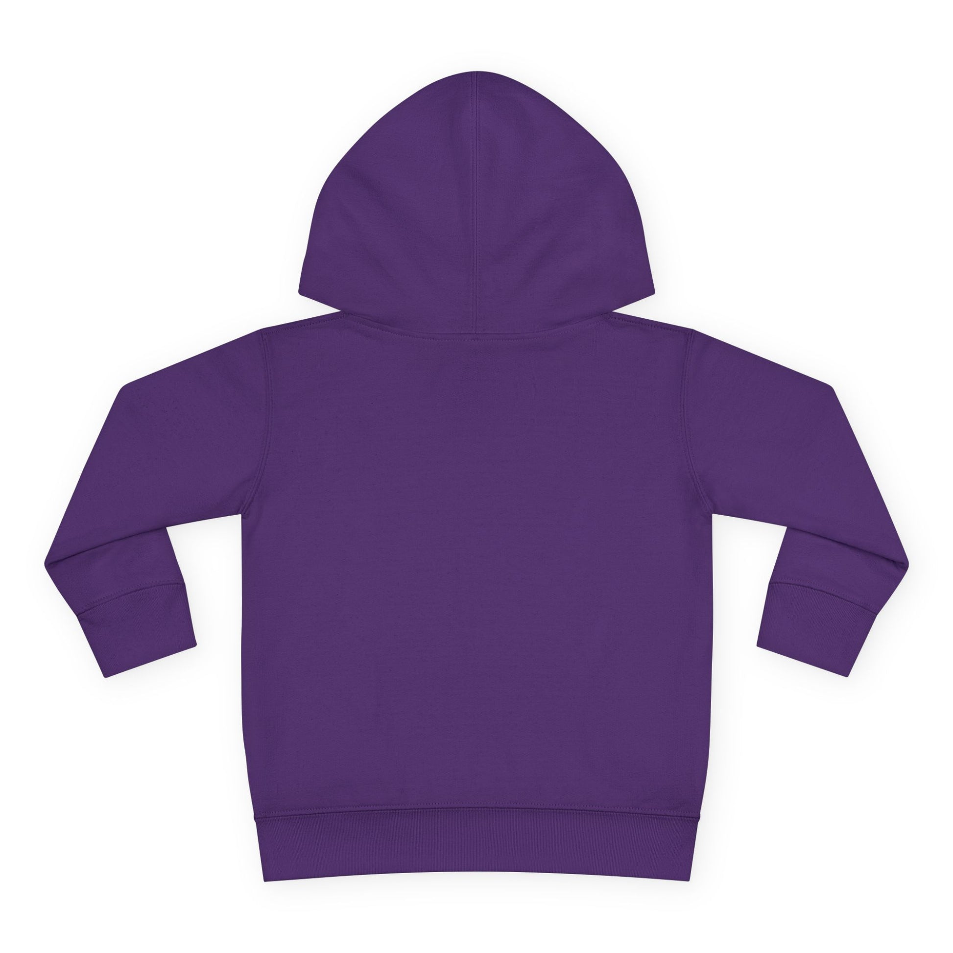 Playground Champ Toddler Fleece Hoodie Purple Kids clothes