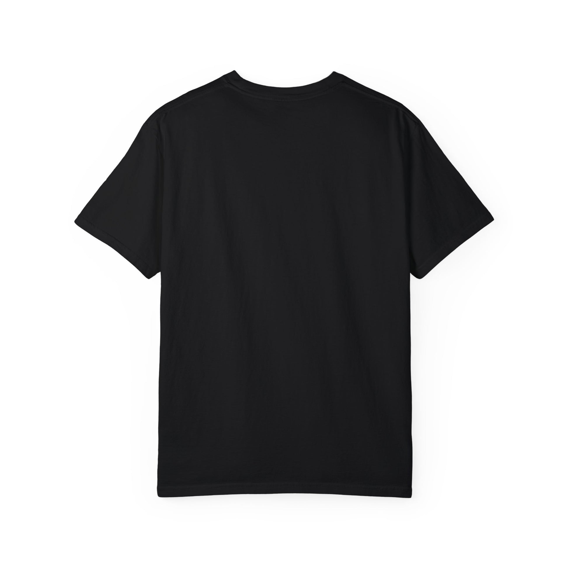 Cool Dad Snowed In Tee Black T-Shirt