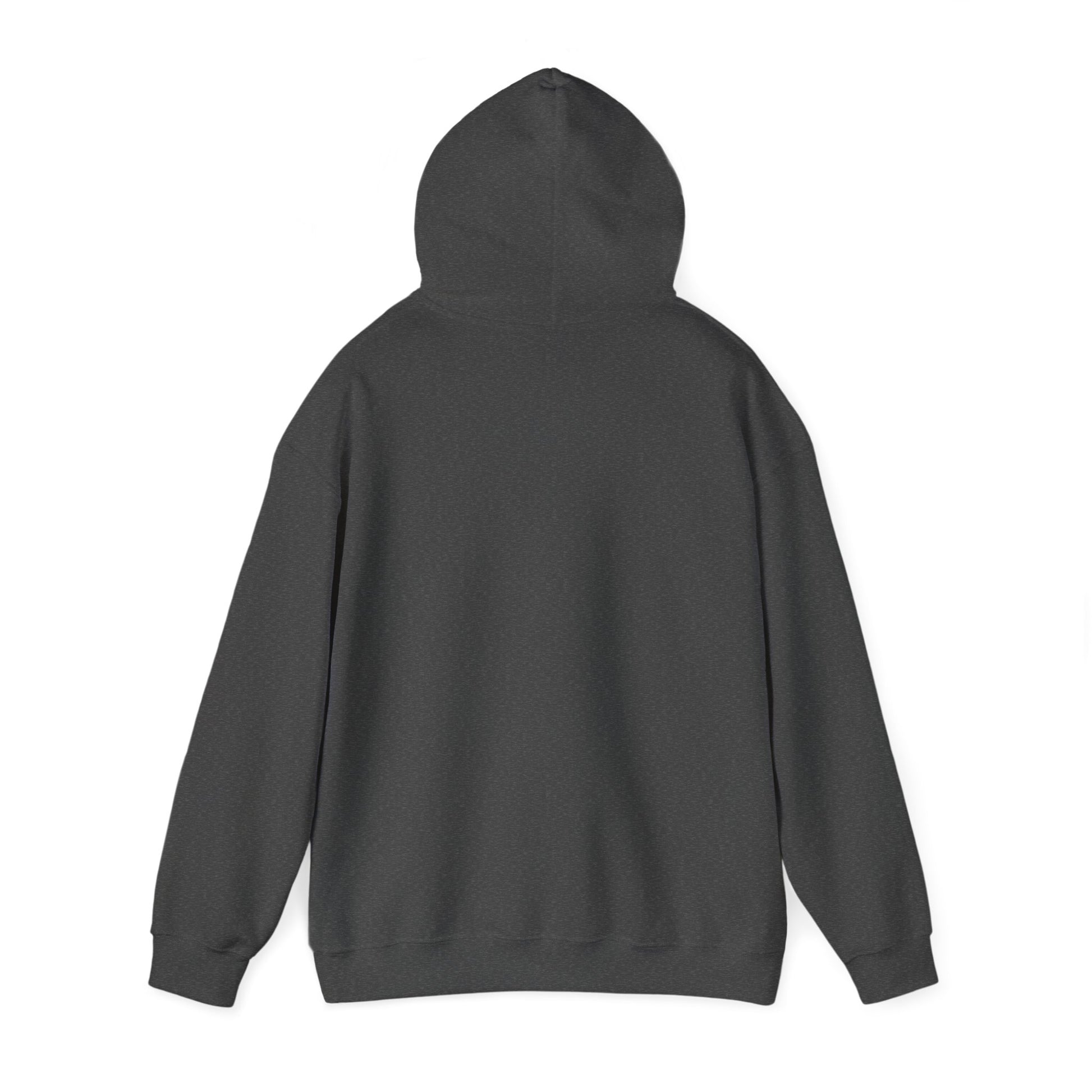 Gamer Dad's Hoodie Dark Heather Hoodie