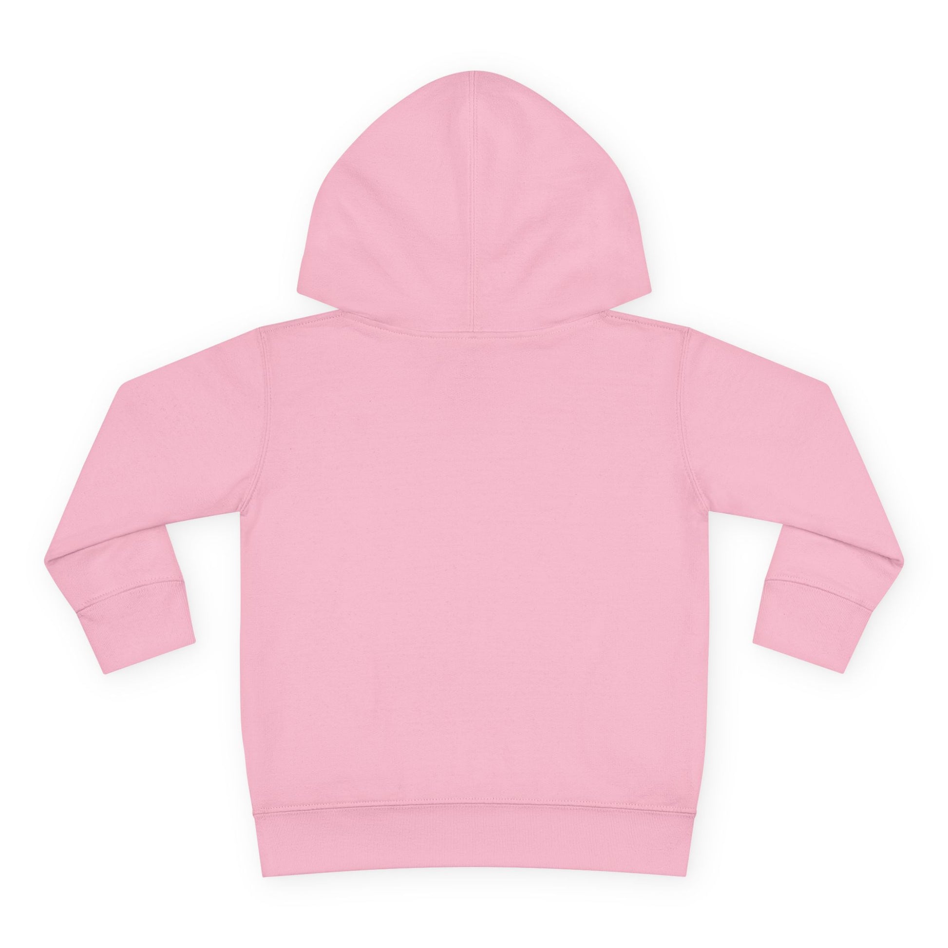 Playground Champ Toddler Fleece Hoodie Pink Kids clothes