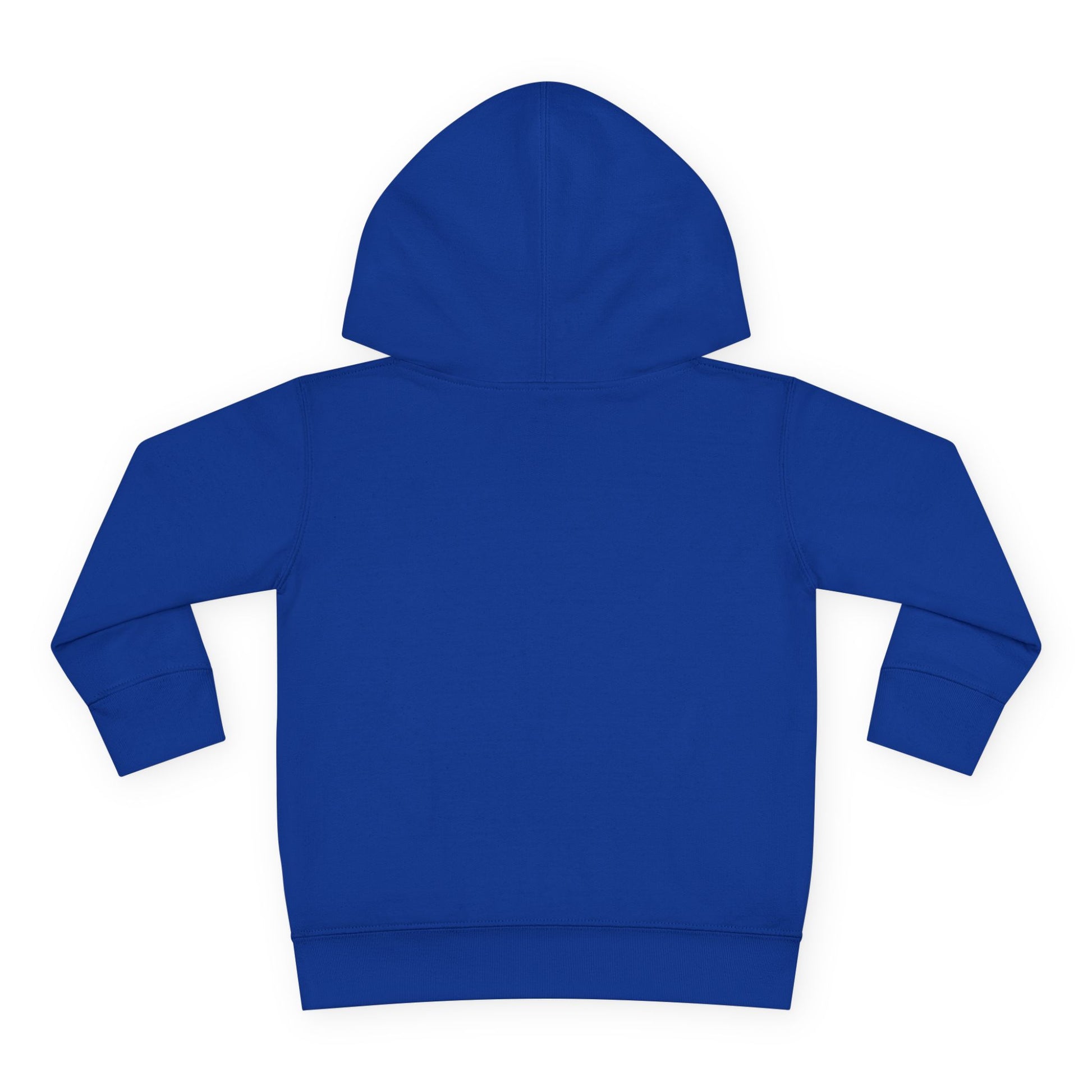Playground Champ Toddler Fleece Hoodie Royal Kids clothes