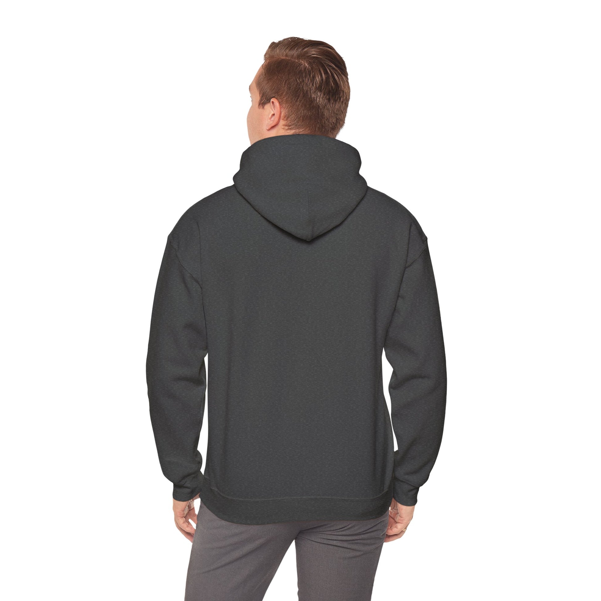 Gamer Dad's Hoodie Dark Heather Hoodie